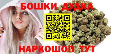 сатива Новозыбков