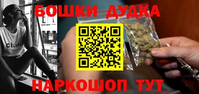 сатива Новозыбков