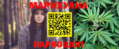 сатива Новозыбков