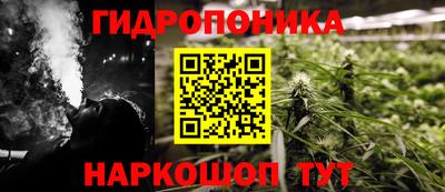 сатива Новозыбков