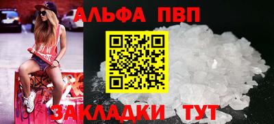 сатива Новозыбков