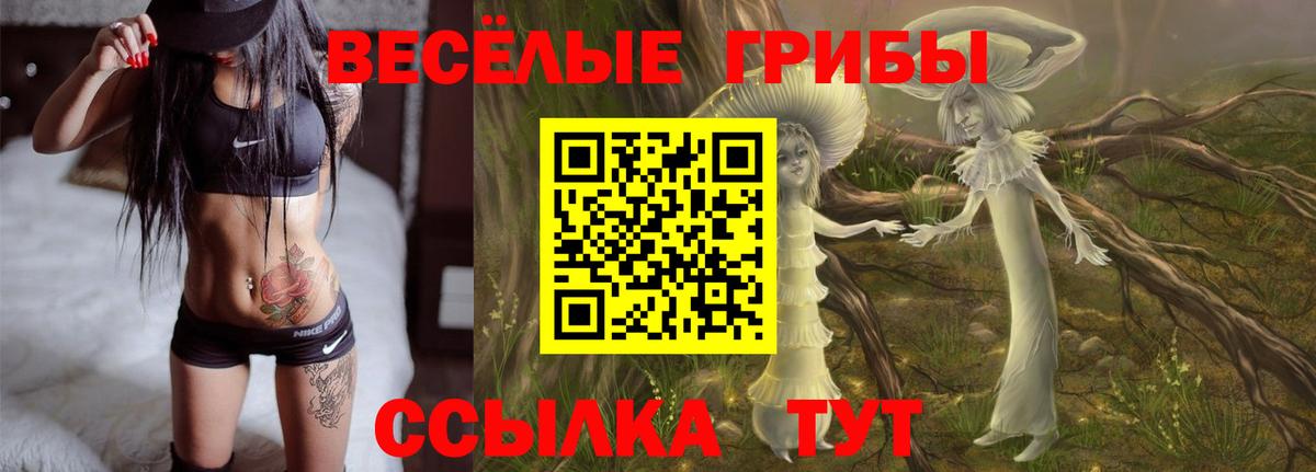 Псилоцибиновые грибы Cubensis Чайковский